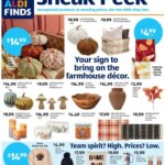 ALDI Weekly Ad from 09/03/2025 🛍️ > Flyer, Sales ad