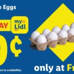 LIDL Weekly Ad - NJ (08/29/2025) ☄️ >> Circular, Flyer