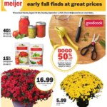 MEIJER AD from 08/24/2025 >> Early fall finds at great prices > PREVIEW