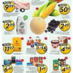 Sobeys weekly flyer starting Aug 21, 2025 ⭐️