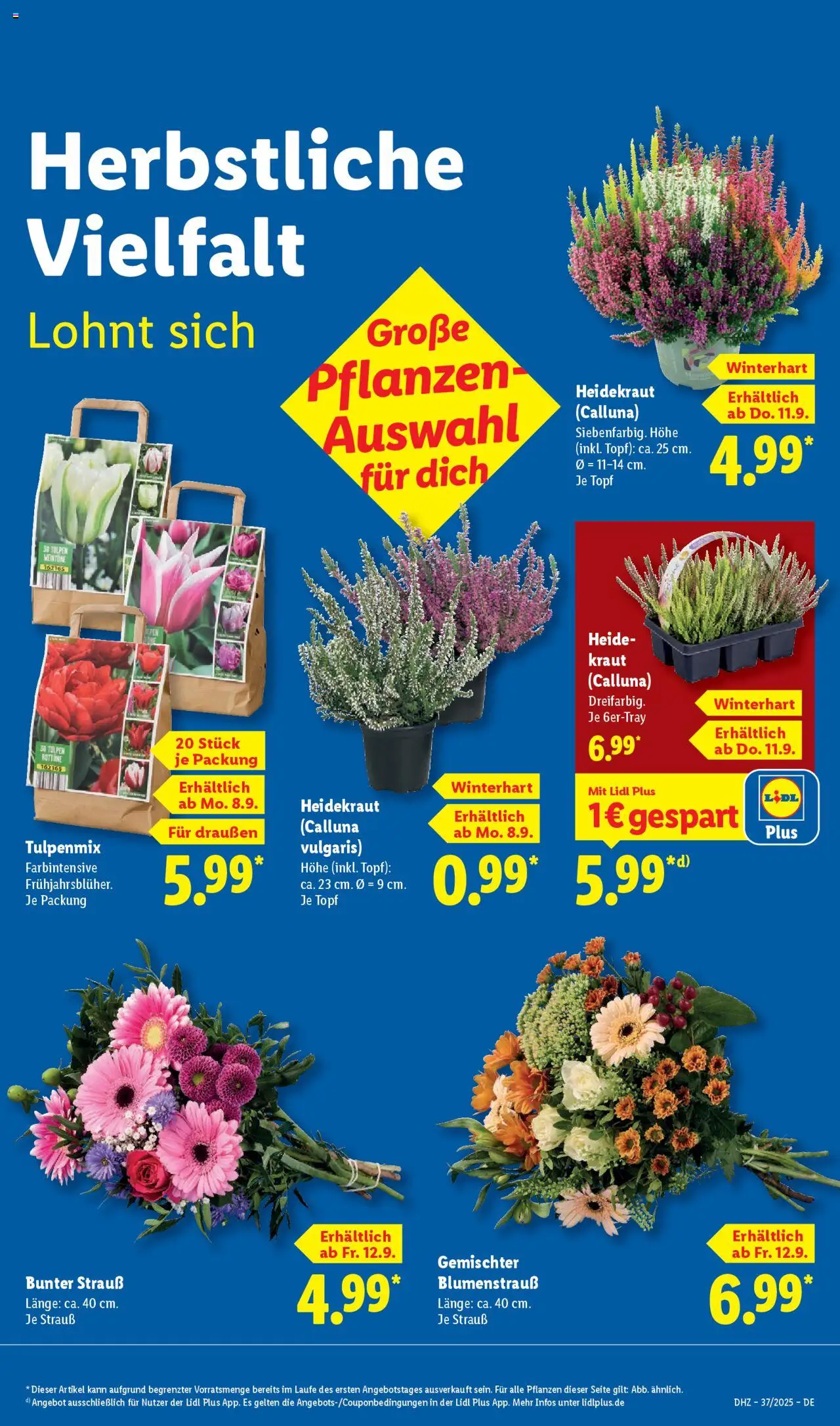 LIDL Prospekt ab Montag 08.09.2025 > Prospekt - Seite 9