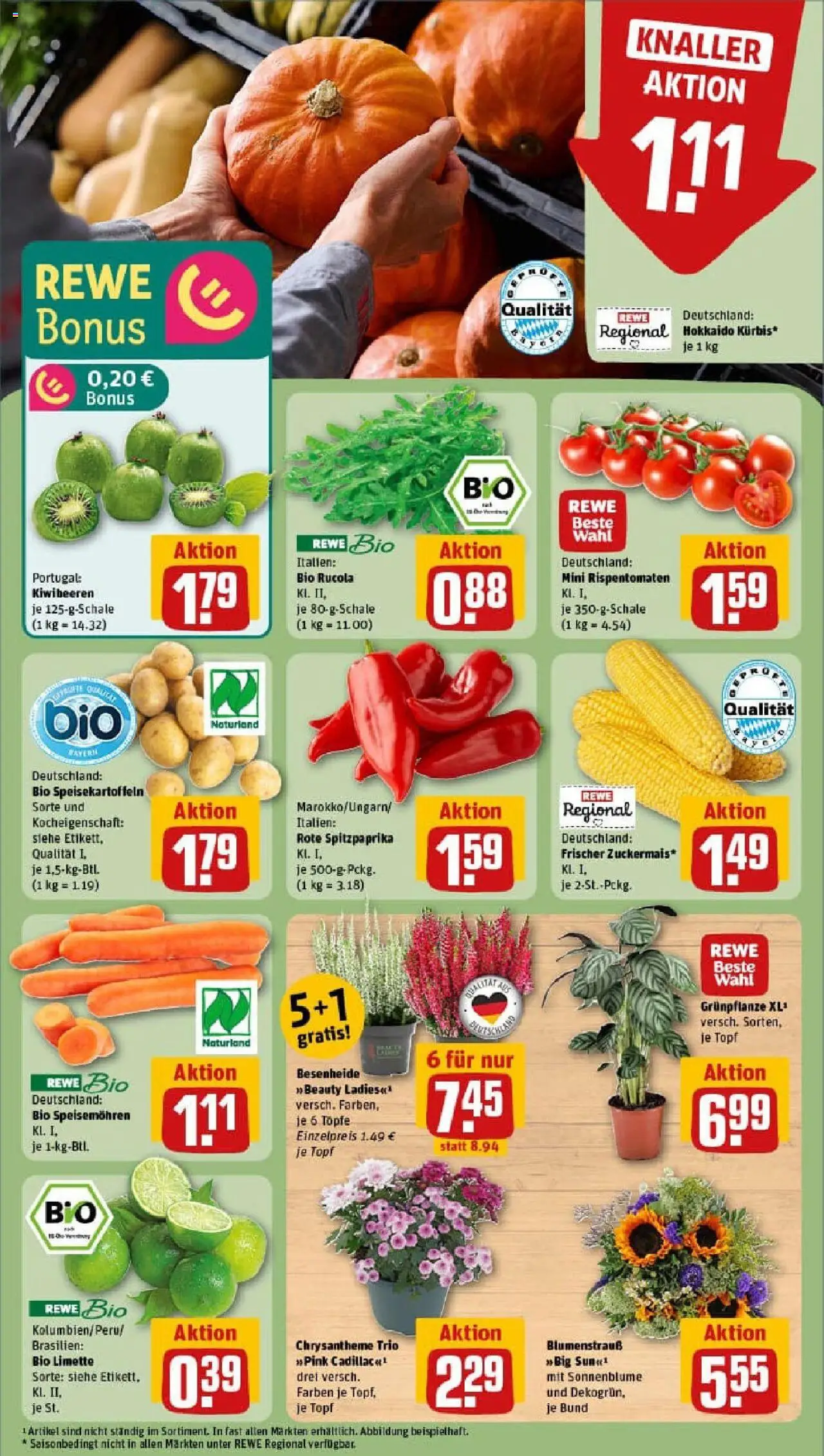 REWE Prospekt ab 07.09.2025 nächste Woche - Prospekt Roding	