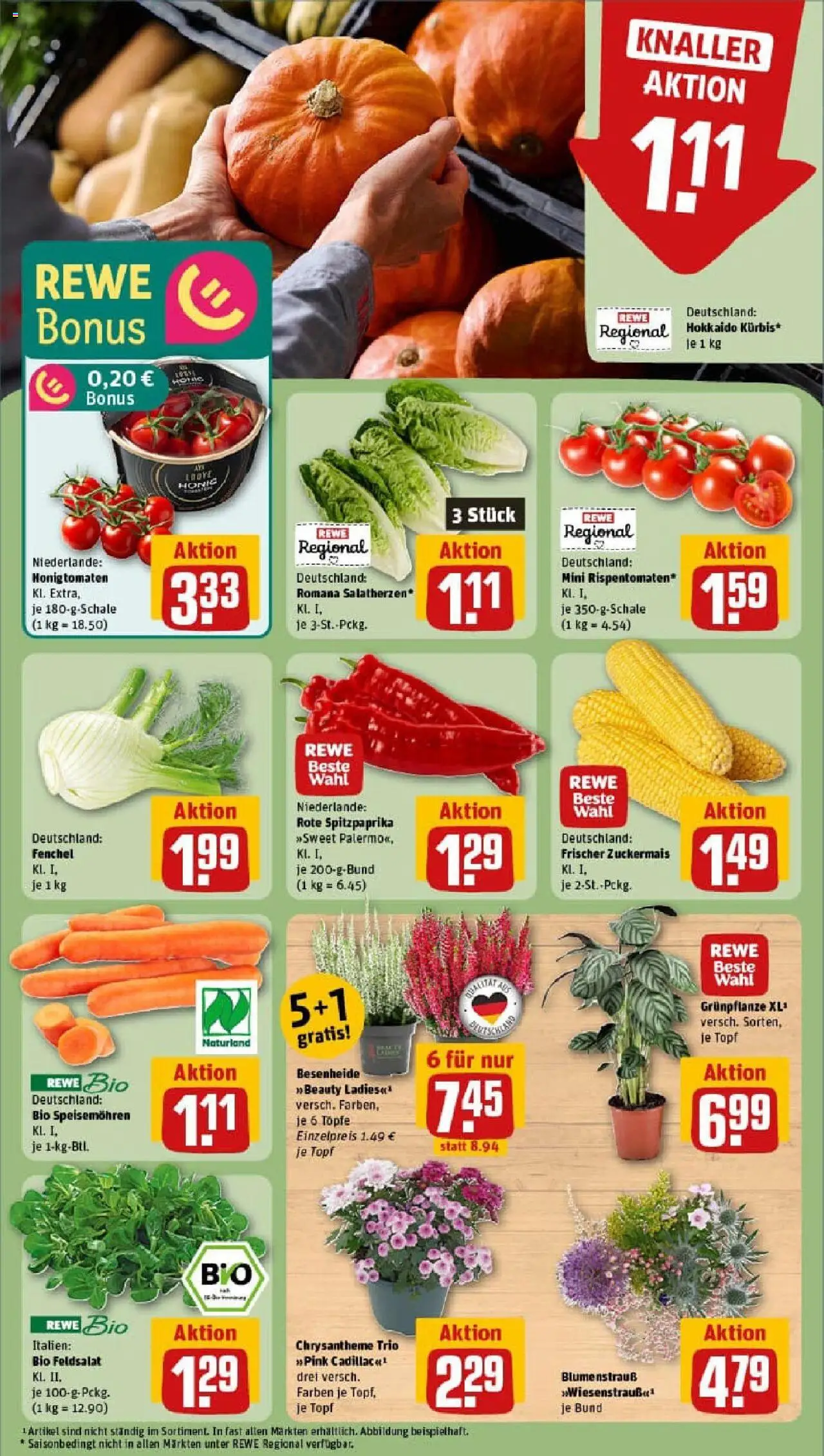 REWE Prospekt ab 07.09.2025 nächste Woche - Prospekt Thalheim (Erzgebirge)	