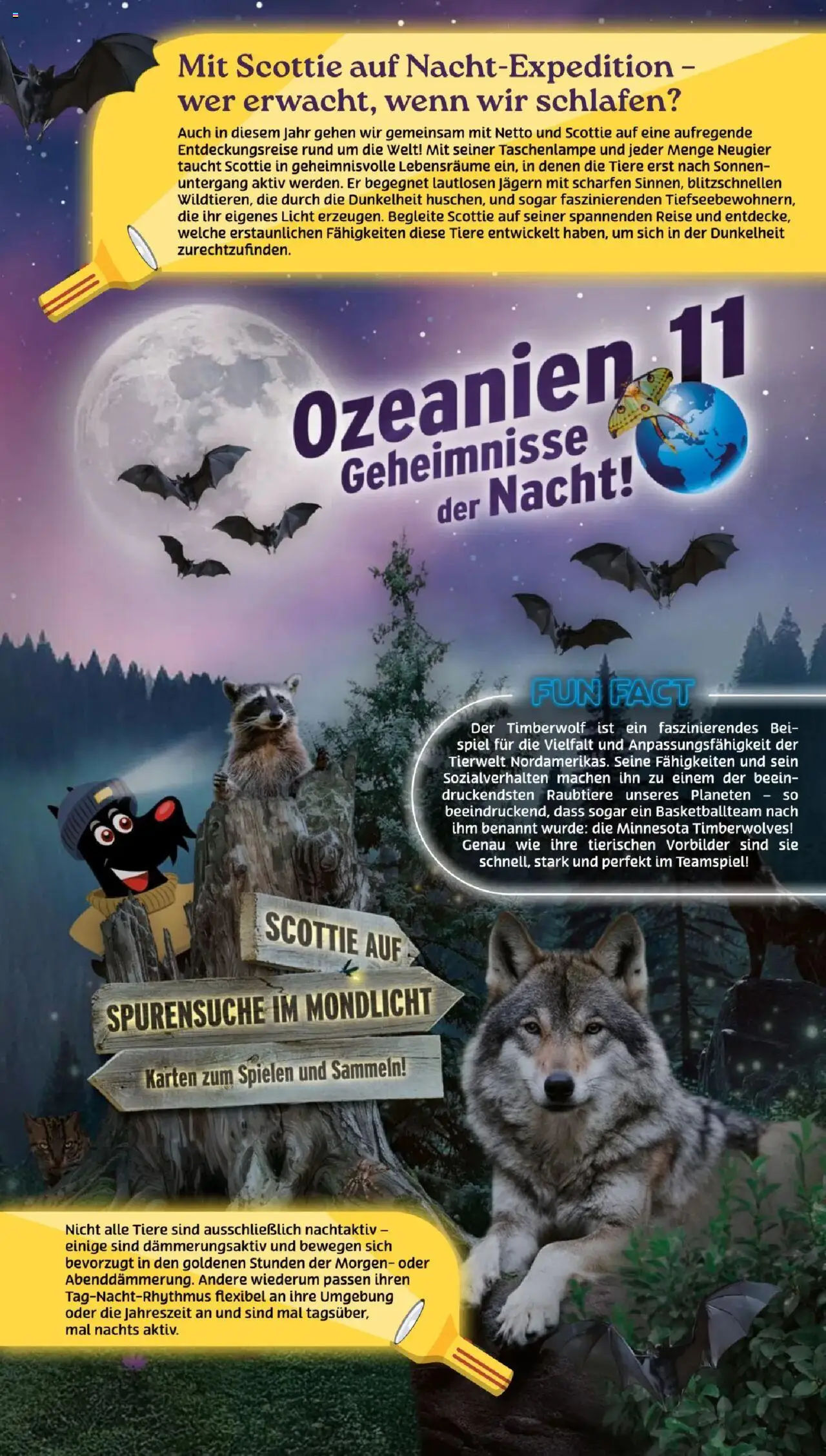 Netto Sammelaktion ab 21.07.2025 > zum Blättern nächste Woche - Seite 3