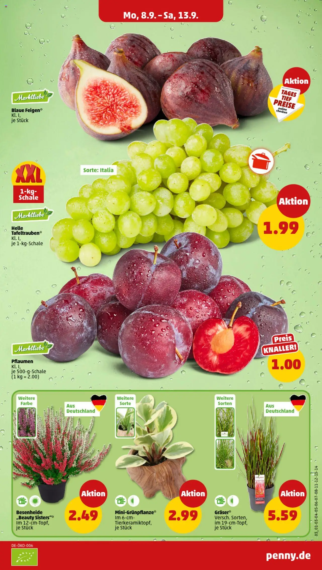 Penny Prospekt ab 08.09.2025 - Prospekt - Seite 3