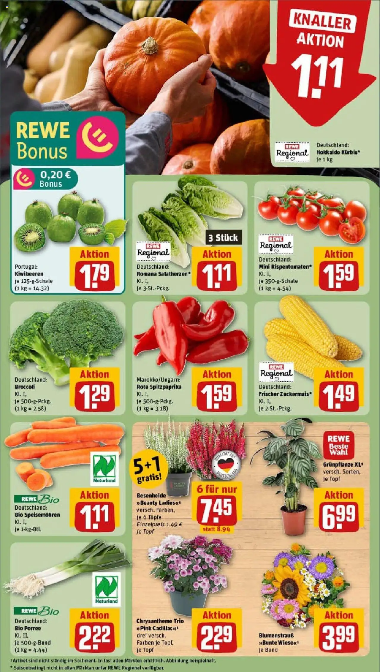 REWE Prospekt ab 08.09.2025 nächste Woche - Prospekt Bühl-Vimbuch	