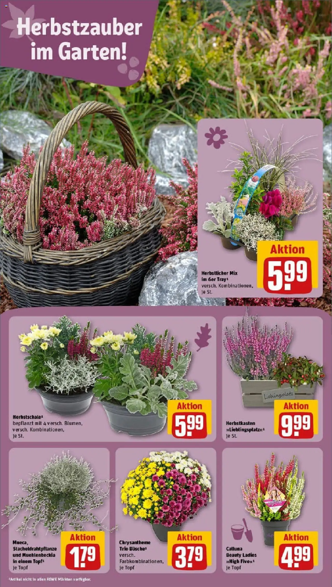 REWE Prospekt ab 14.09.2025 nächste Woche - Prospekt Haßfurt	