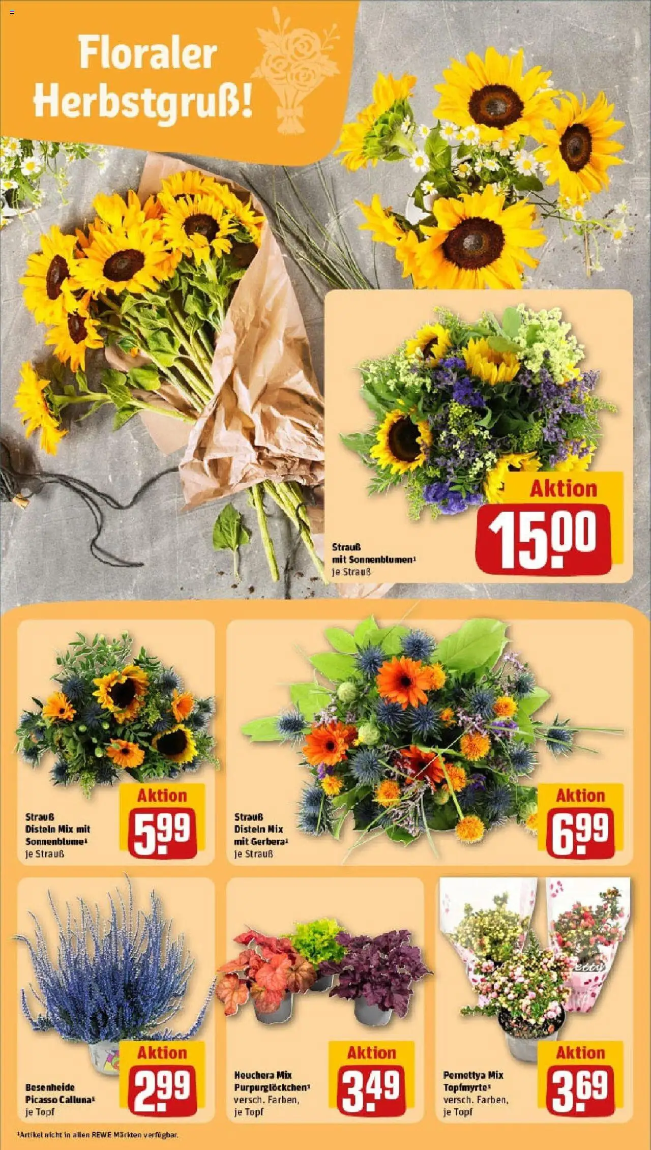 REWE Prospekt ab 14.09.2025 nächste Woche - Prospekt Haßfurt	