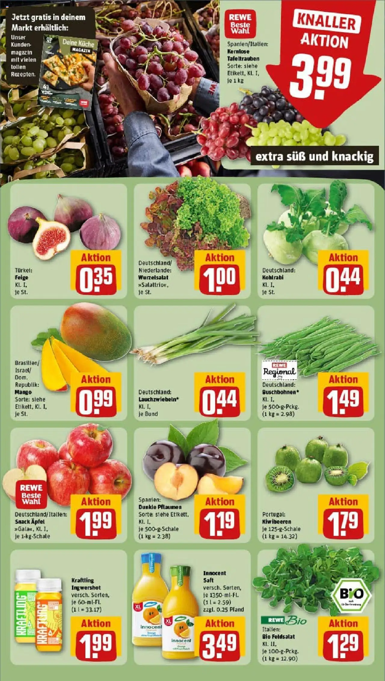 REWE Prospekt ab 15.09.2025 nächste Woche - Prospekt Kelkheim / Fischbach	