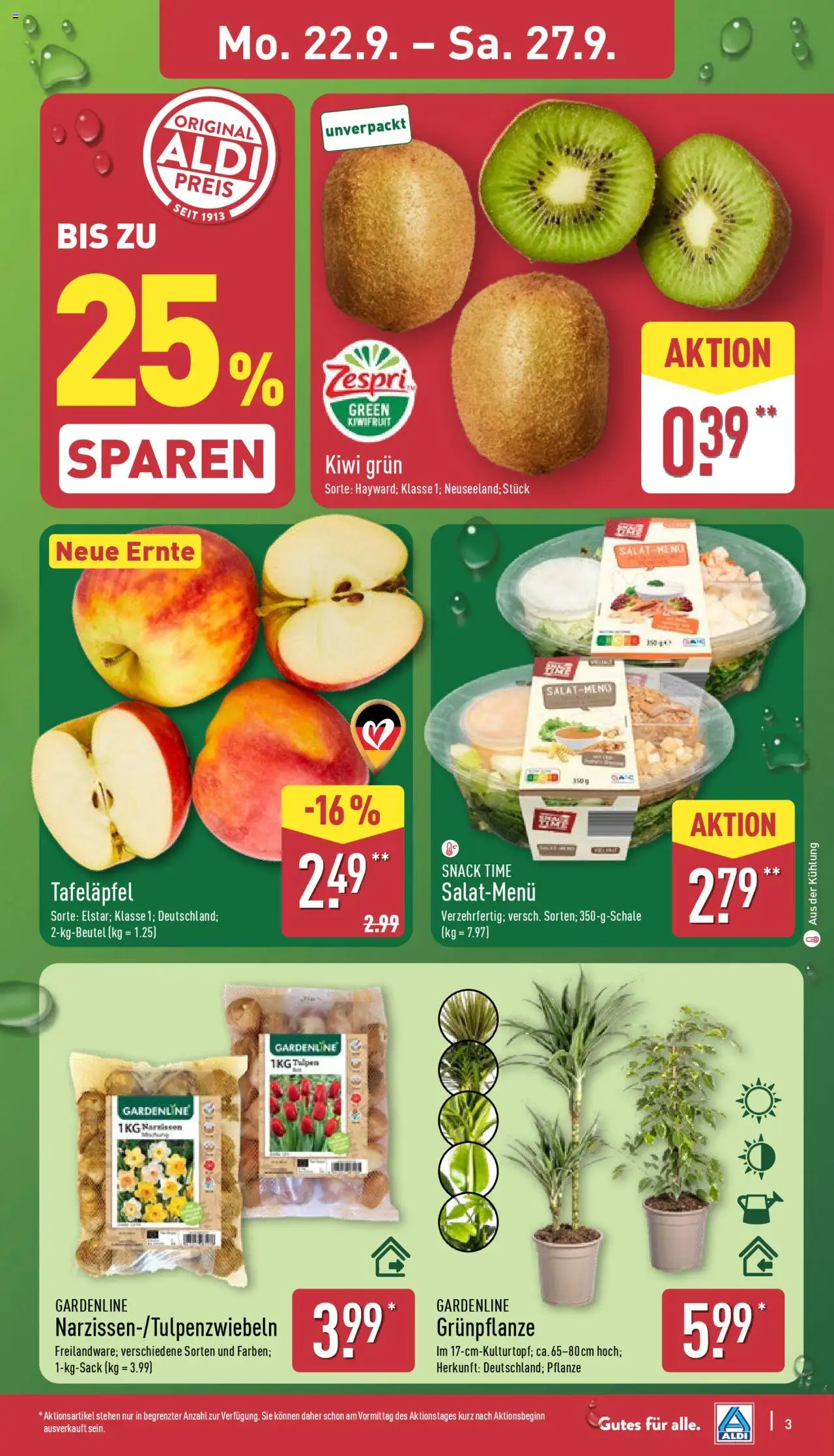Aldi Prospekt 	 – gültig ab 22.09.2025 | Seite: 7 | Produkte: Kiwi, Salat