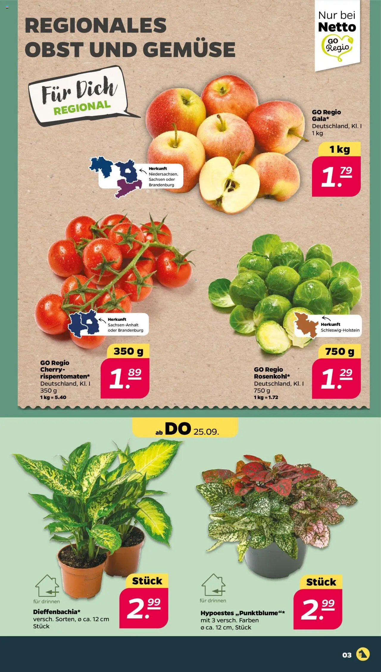 Netto Prospekt 	 – gültig ab 21.09.2025 | Seite: 3 | Produkte: Gemüse, Obst