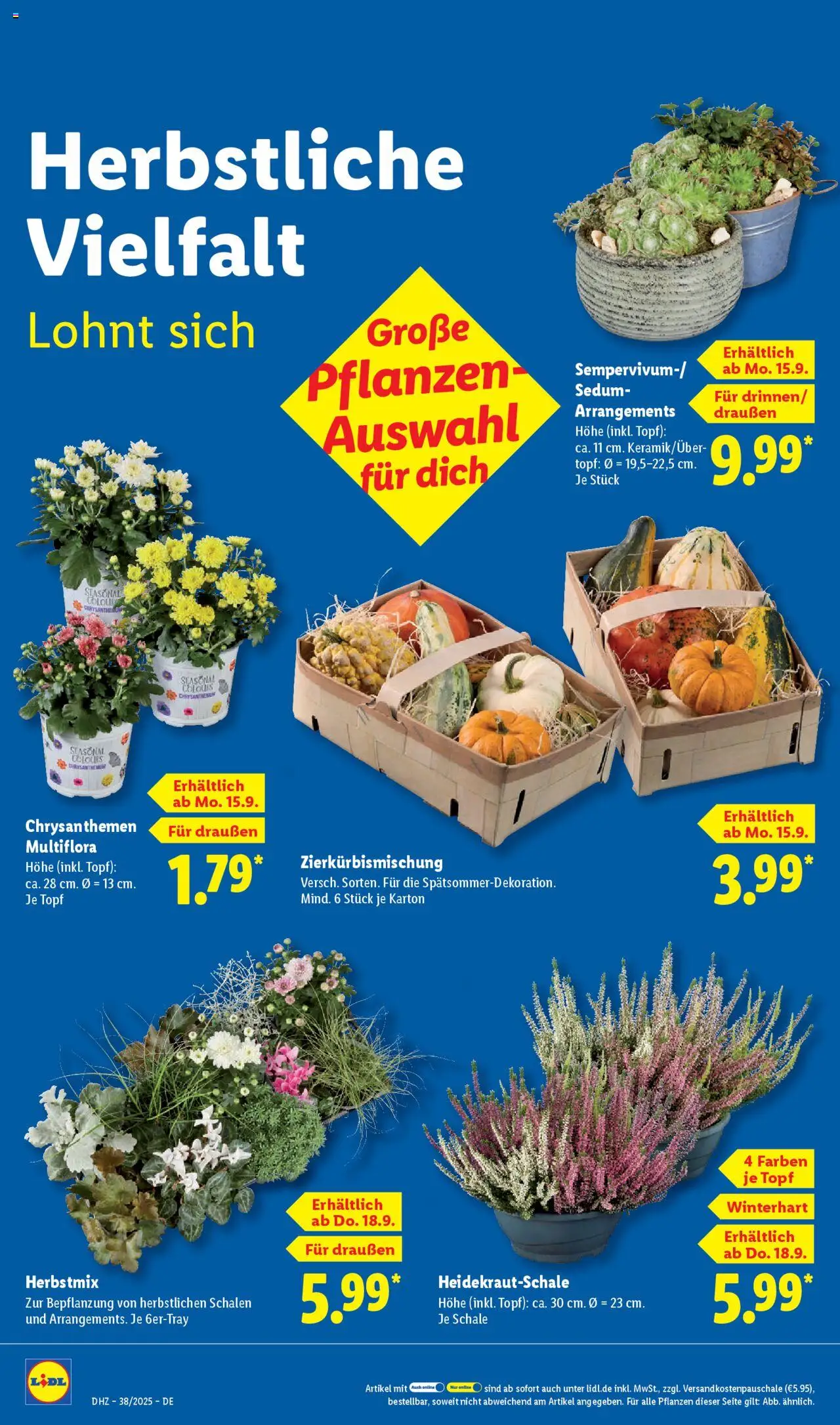 Lidl Prospekt Gundelsheim – gültig ab 15.09.2025 | Seite: 24