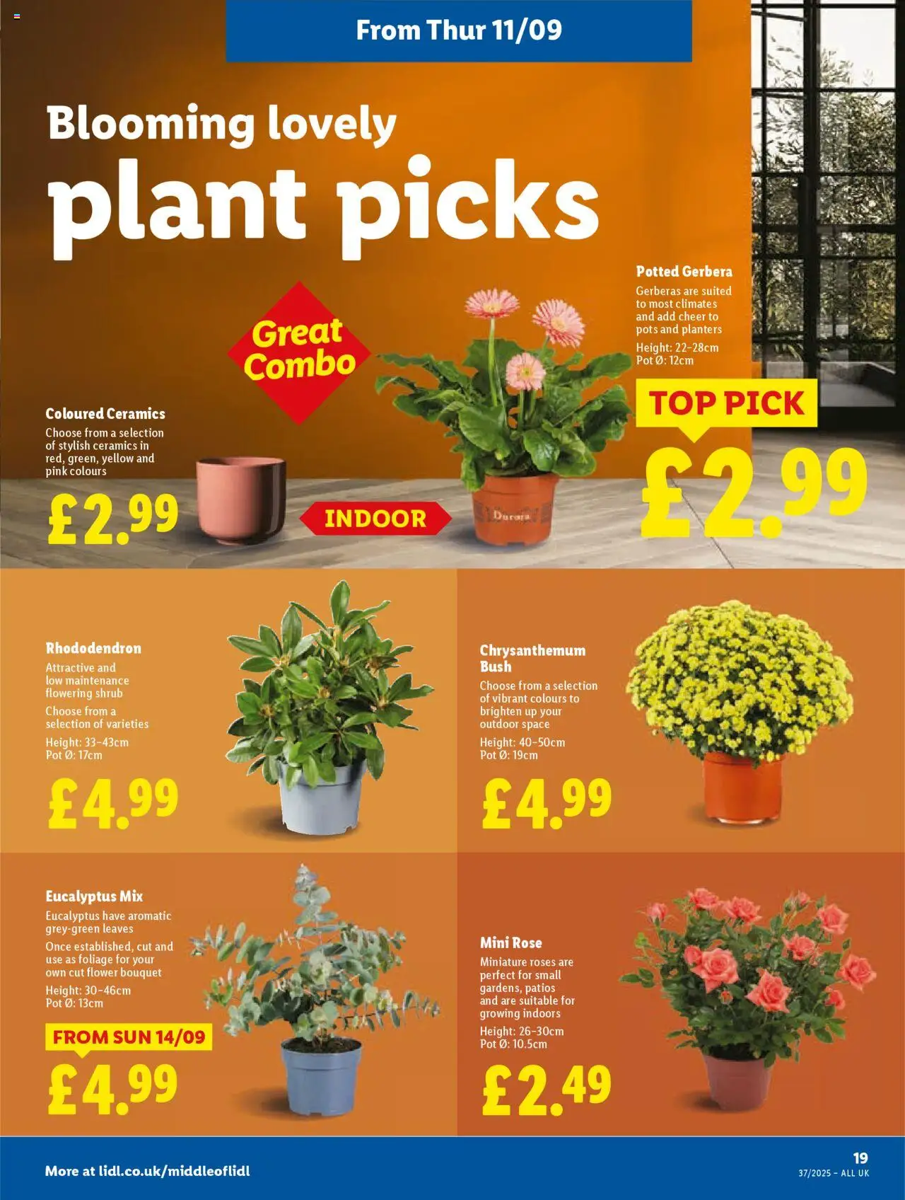  | Page: 21 | Products: Pot, Roses, Jääkaappipakastin