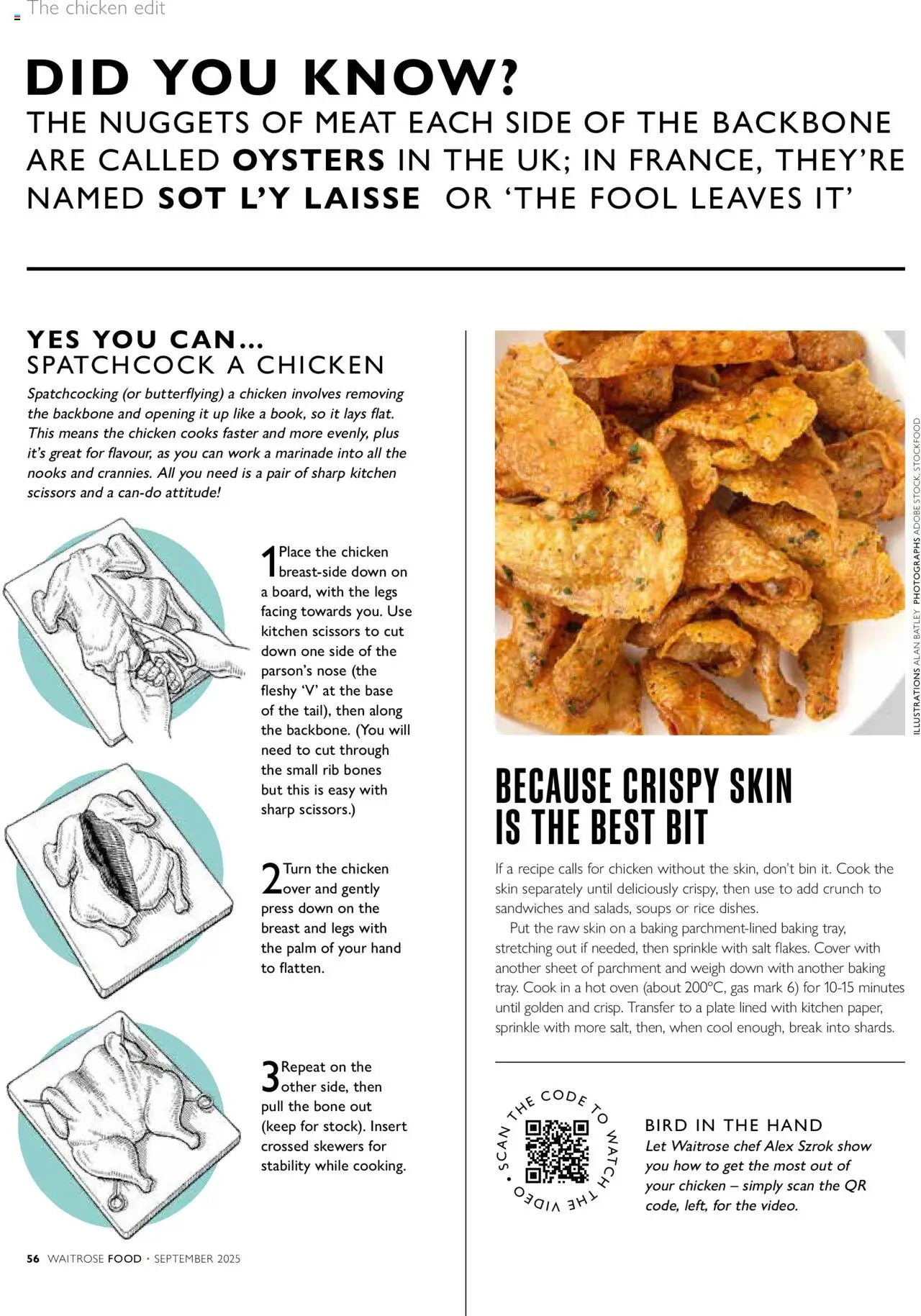  | Page: 56 | Products: Chicken, Kitchen, Video, Calvados