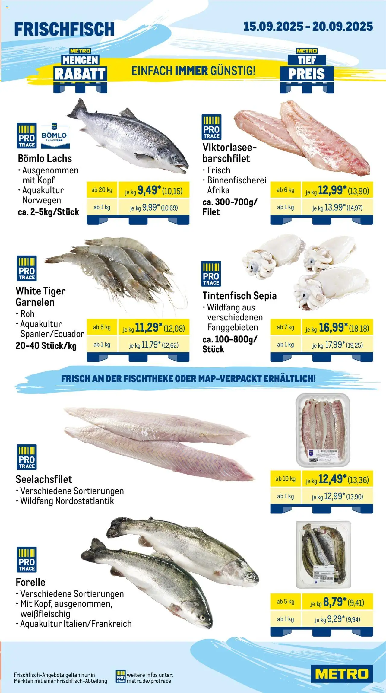 Metro Wochen-Angebote Gastro – gültig ab 15.09.2025 | Seite: 5 | Produkte: Garnelen, Tintenfisch, Lachs, Tiger garnelen