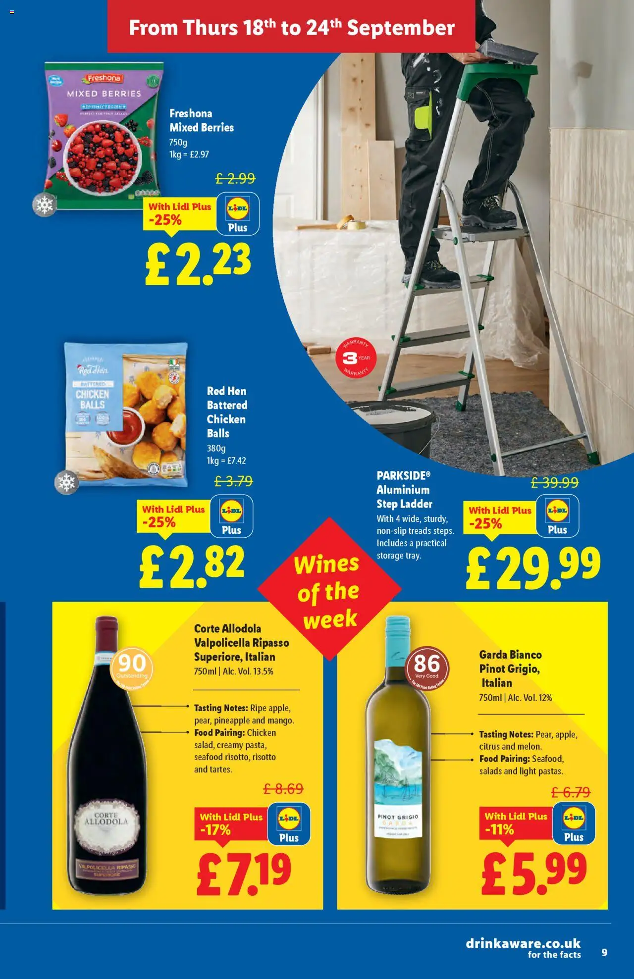  | Page: 9 | Products: Chicken, Szarvas comb, Ladder, Pineapple