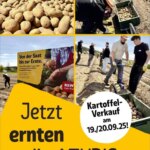 REWE Prospekt ab 15.09.2025 zum Blättern » Angebote