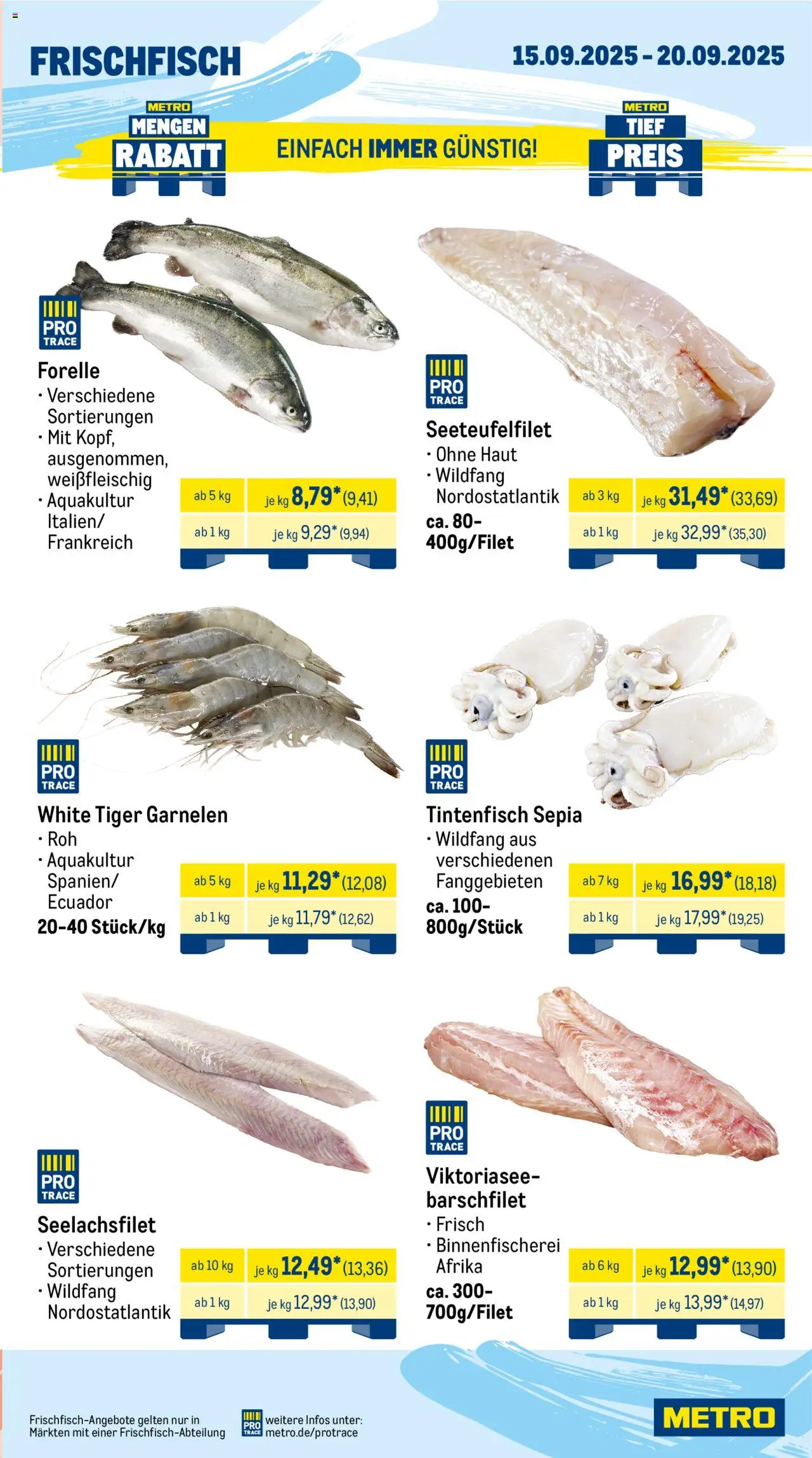 Metro Prospekt 	 – gültig ab 15.09.2025 | Seite: 5 | Produkte: Garnelen, Tintenfisch, Tiger garnelen