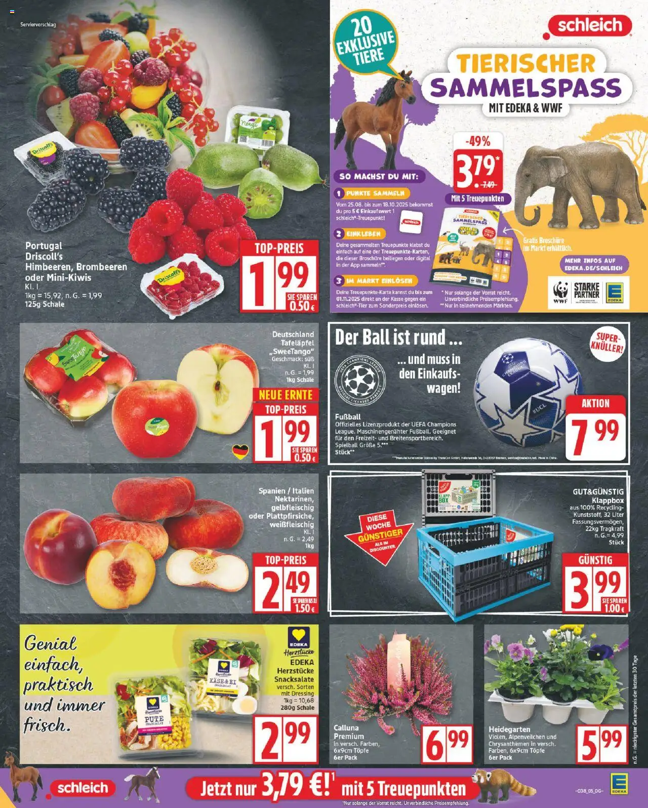 Edeka Prospekt 	 – gültig ab 15.09.2025 | Seite: 5 | Produkte: Pute, Box, Dressing, Fußball