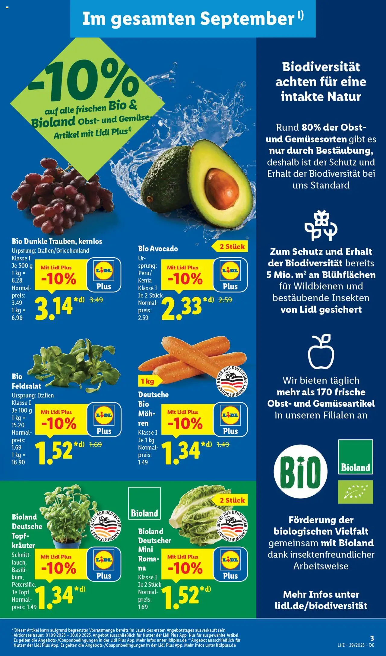 Lidl Prospekt München – gültig ab 22.09.2025 | Seite: 3 | Produkte: Avocado, Gemüse, Obst, Petersilie