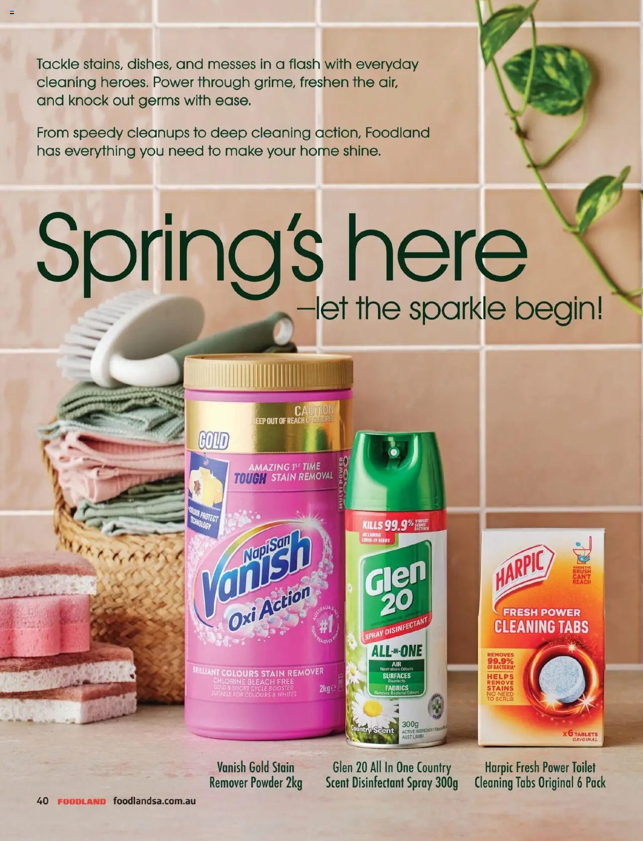 Foodland catalogue - valid from 01.09.2025 | Page: 40 | Products: Toilet, Brush, Scrub, Stain remover