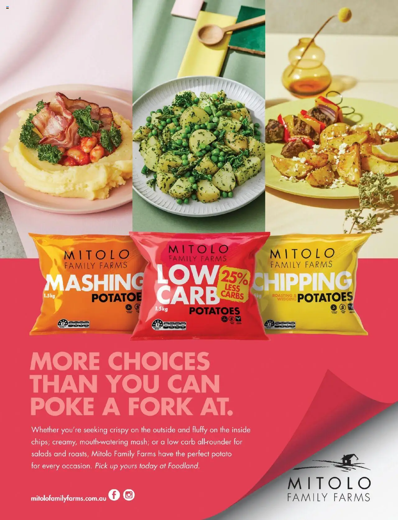 Foodland catalogue - valid from 01.09.2025 | Page: 51 | Products: Potatoes