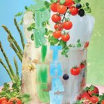 Aldi catalogue next week 17 September Online Australia