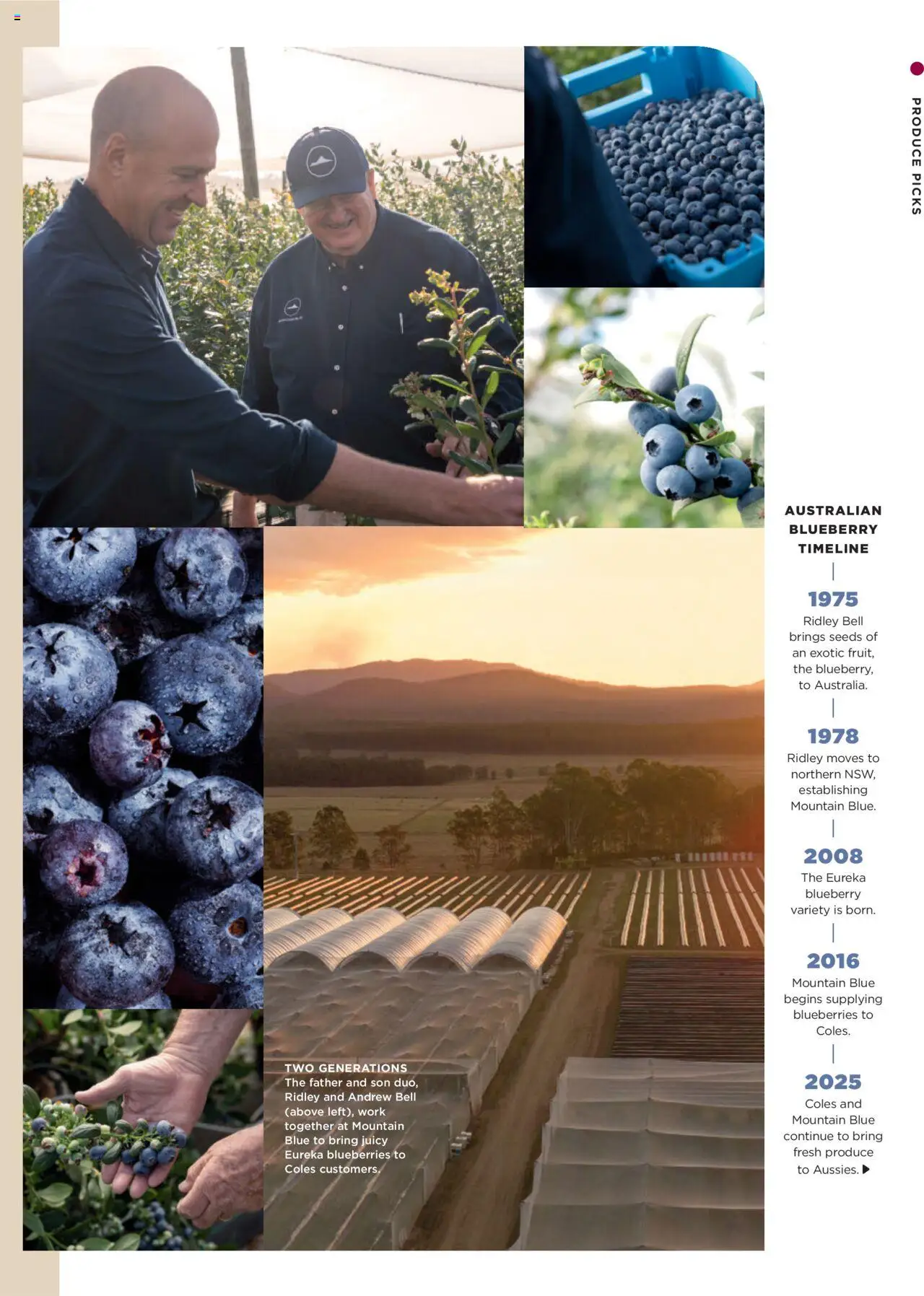 Coles catalogue - valid from 04.09.2025 | Page: 27 | Products: Seeds, Blueberries