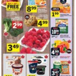 Foodland flyers for this week 18 September weekly specials & deals