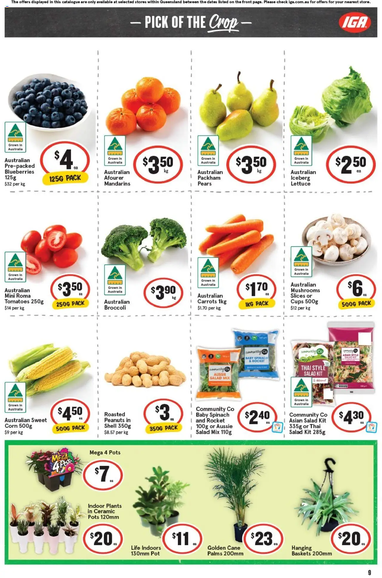 IGA catalogue - valid from 17.09.2025 | Page: 12 | Products: Cups, Lettuce, Mushrooms, Blueberries