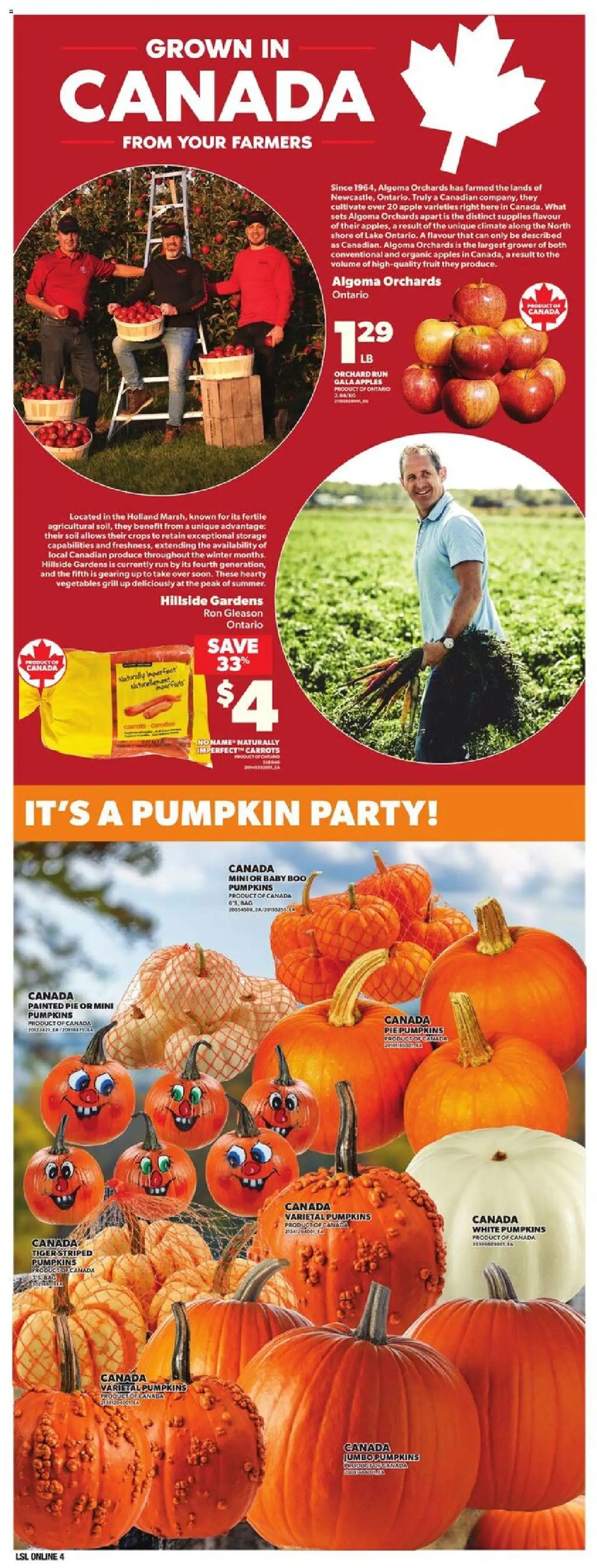Loblaws flyer valid from 18.09.2025 | Page: 11 | Products: Bag, Grill, Pumpkin, Apples