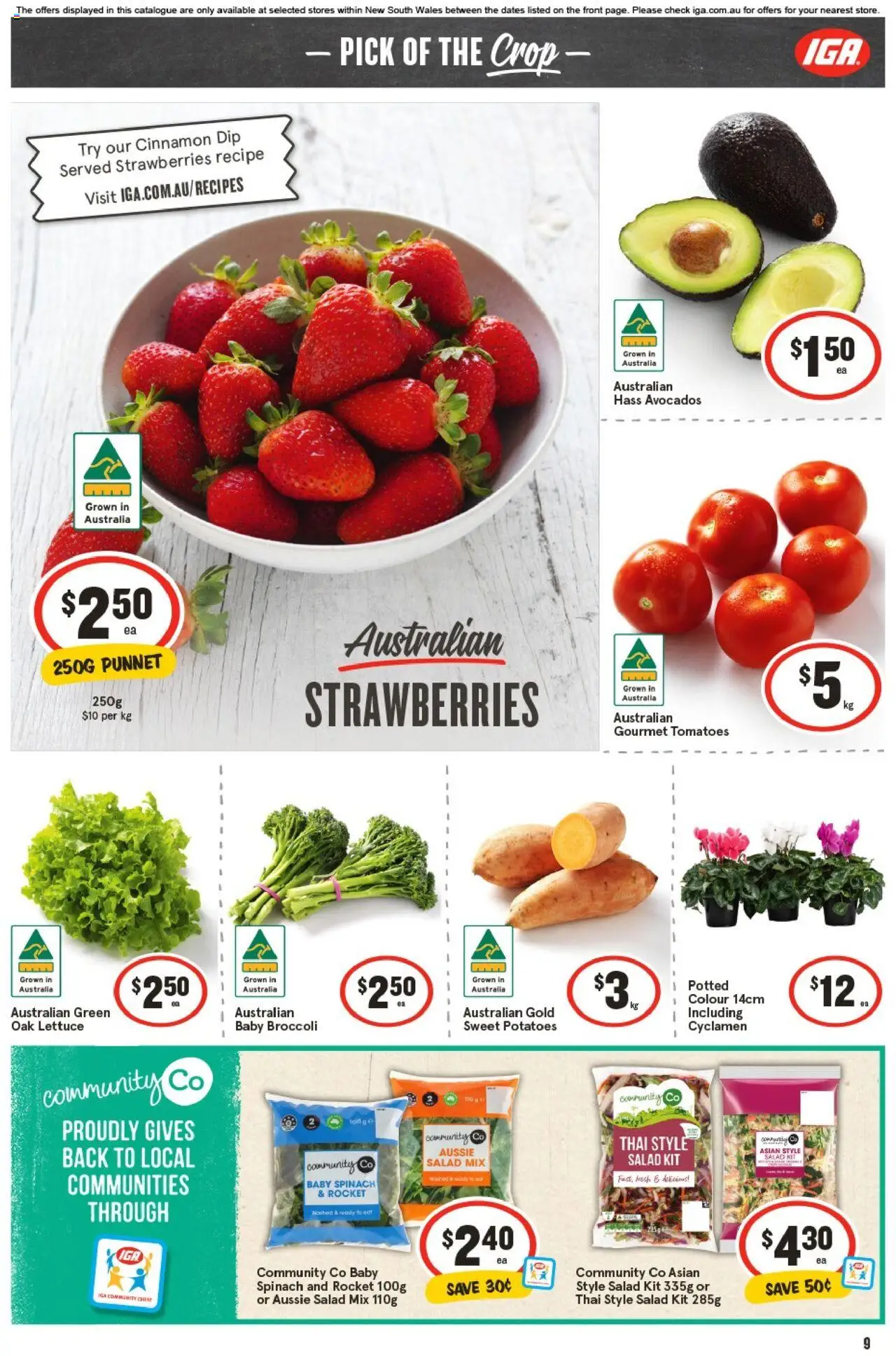 IGA catalogue - valid from 17.09.2025 | Page: 12 | Products: Tomatoes, Salad, Rocket, Spinach