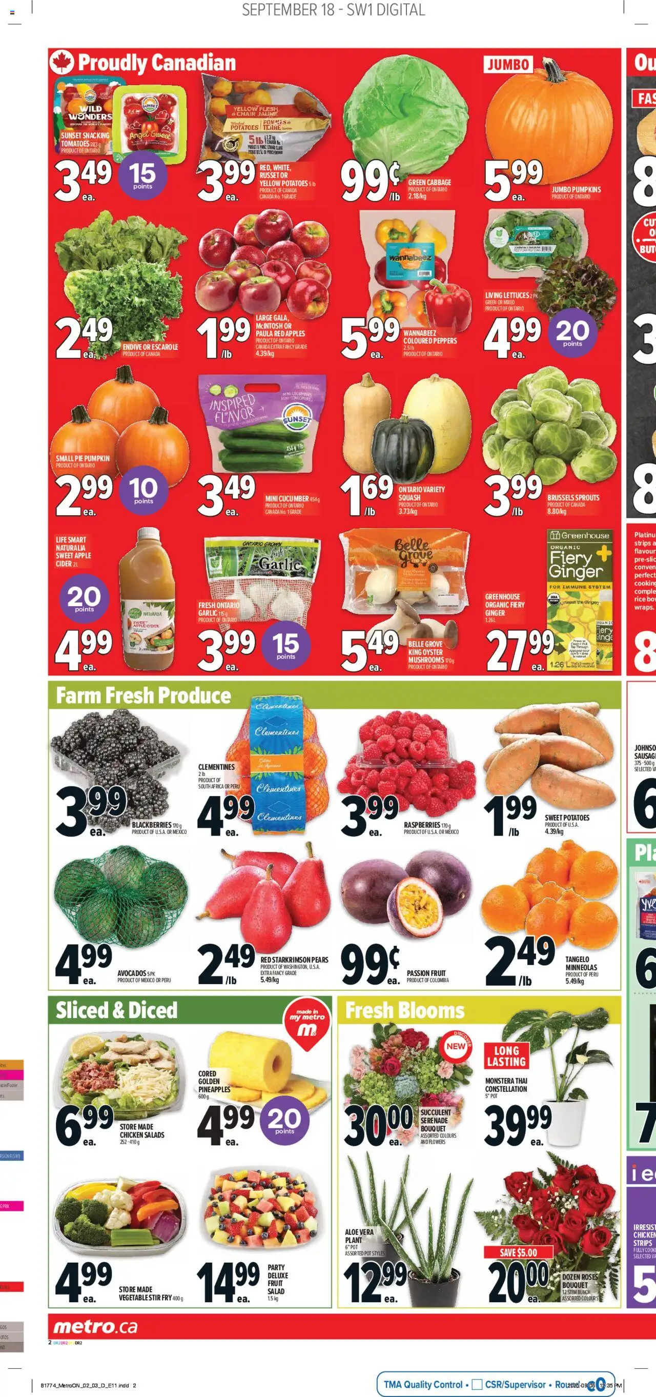 Metro flyer valid from 18.09.2025 | Page: 6 | Products: Cucumbers, Chair, Pumpkin, Apples