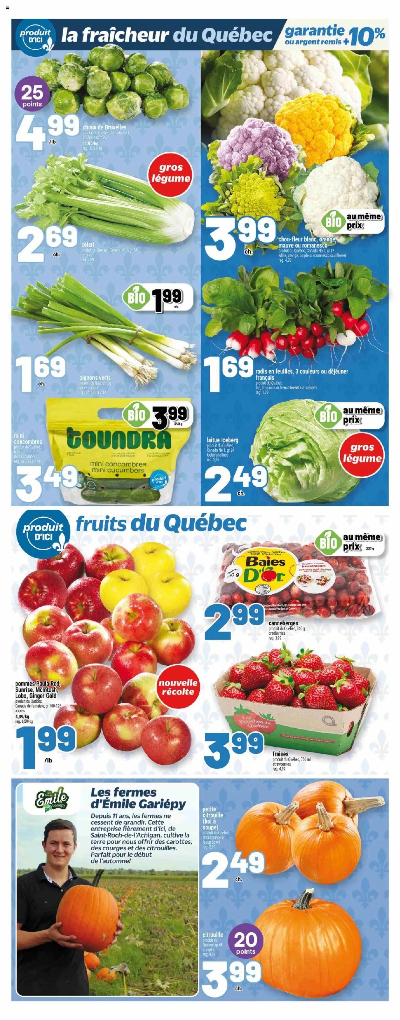Metro flyer valid from 18.09.2025 | Page: 8 | Products: Strawberries, Cucumbers, Pumpkin, Apples