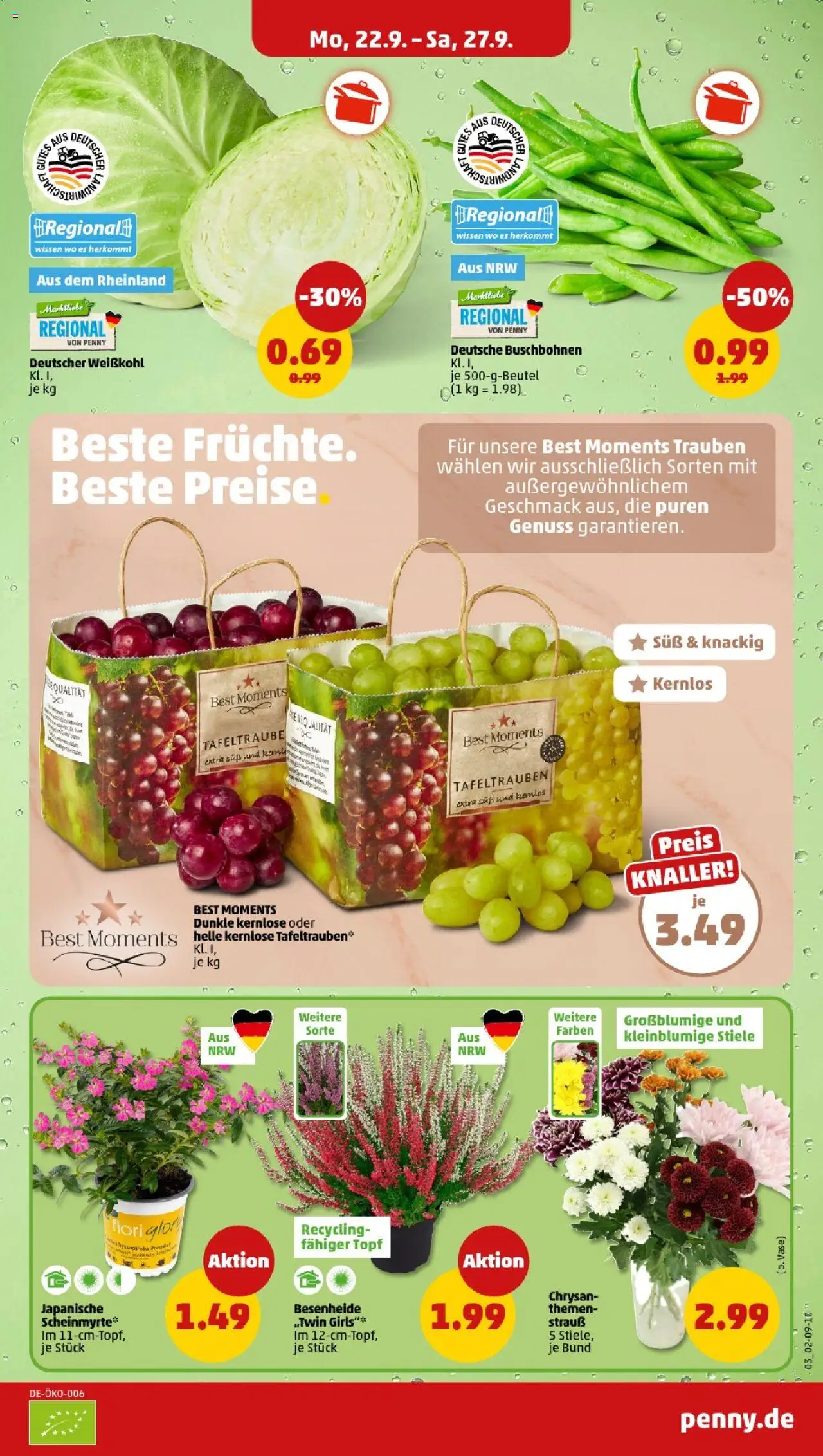Penny - Nordrhein - Westfalen – gültig ab 22.09.2025 | Seite: 5 | Produkte: Trauben, Vase, SUP