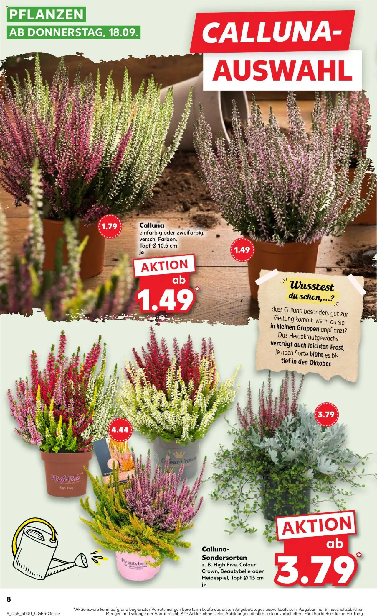 Kaufland prospekt Stuttgart	 – gültig ab 21.09.2025 | Seite: 8