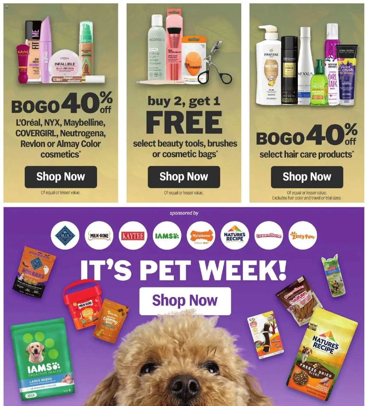 Meijer Weekly Ad - valid from 24.09.2025 | Page: 42 | Products: Brushes, Brush, Shampoo, Hair color