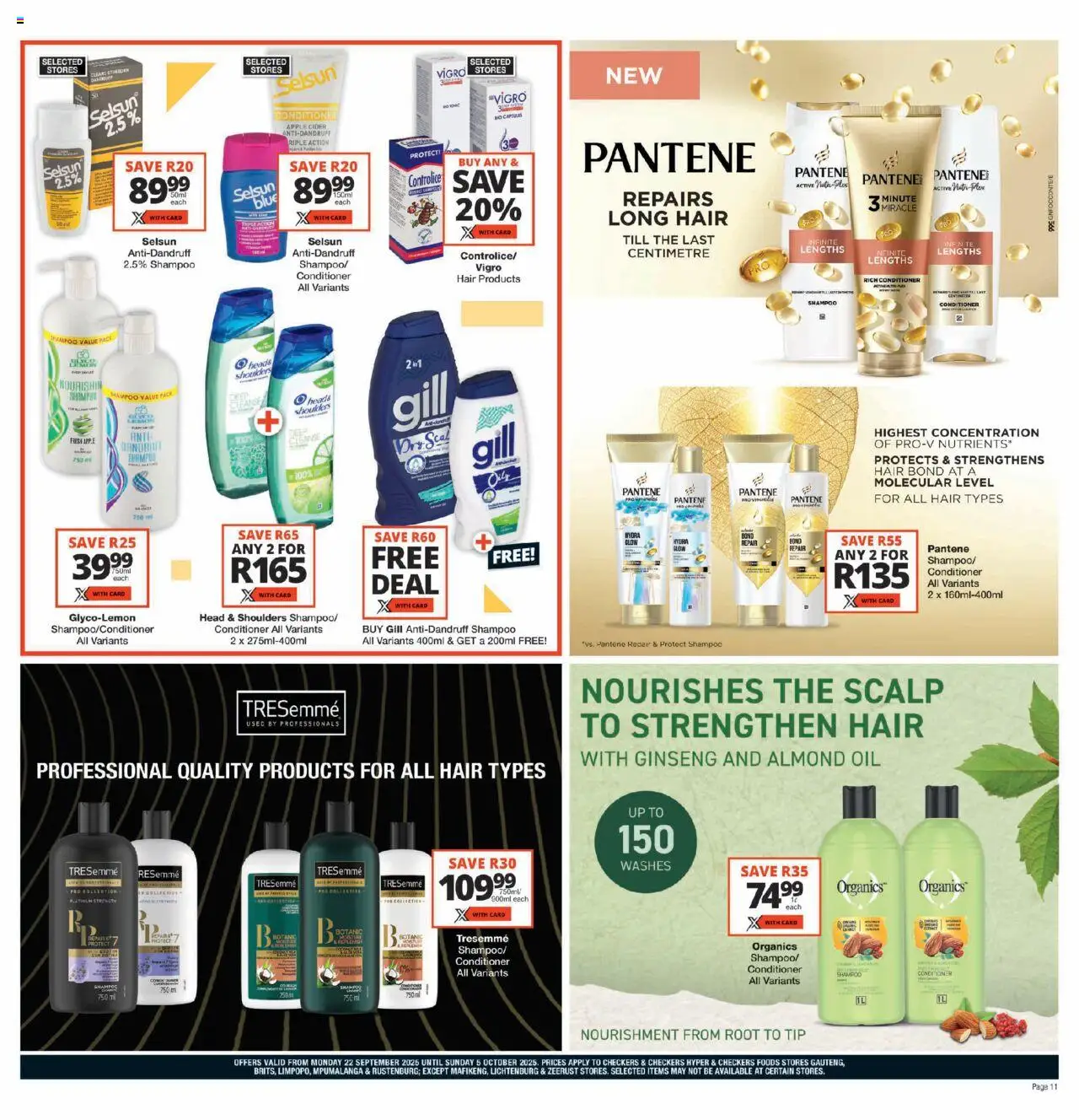 New Checkers catalogue – valid from 22.09.2025 | Page: 11 | Products: Cider, Oil, Shampoo, Conditioner