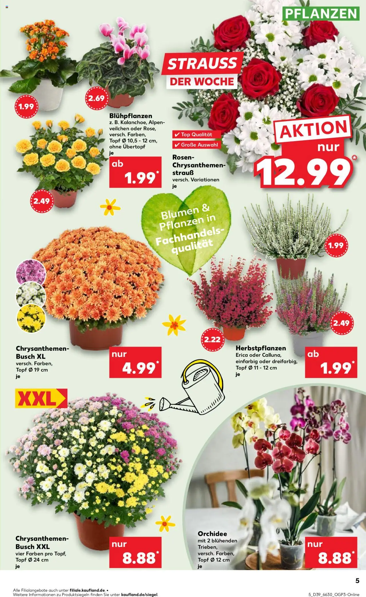 Kaufland prospekt Hannover	 – gültig ab 25.09.2025 | Seite: 5 | Produkte: Top, Orchidee, Blumen Kaufland prospekt Hannover	 – gültig ab 25.09.2025 | Seite: 5 | Produkte: Top, Orchidee, Blumen