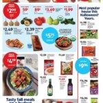 Aldi Weekly Ad (09/24 - 09/30 2025) - Flyer 2 Aldi Weekly Ad (09/24 – 09/30 2025) – Flyer