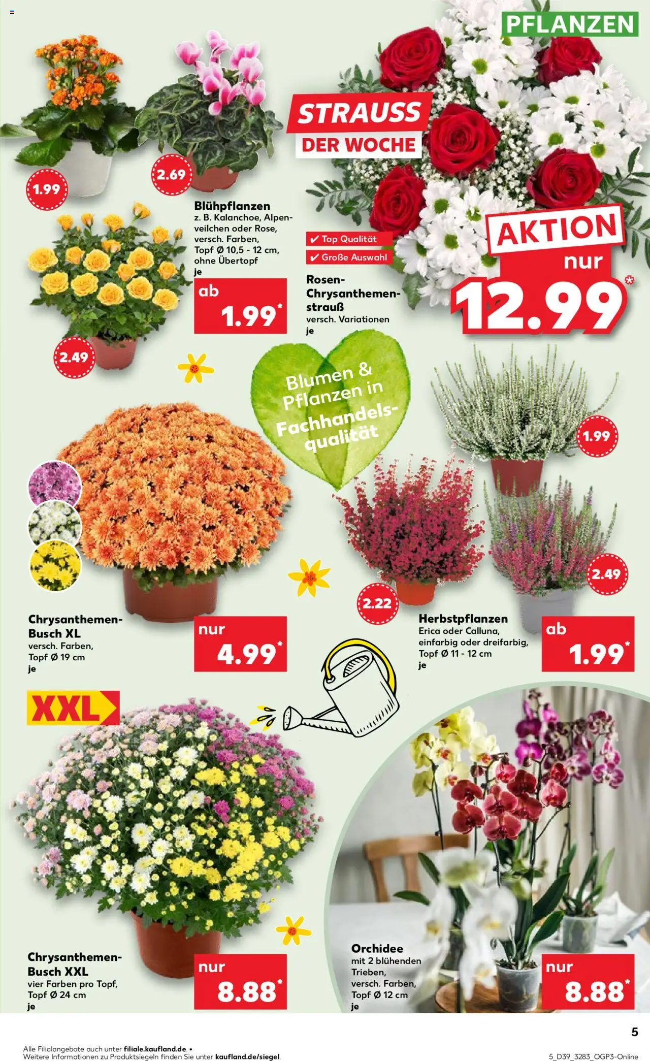 Kaufland prospekt Berlin	 – gültig ab 25.09.2025 | Seite: 5 | Produkte: Top, Orchidee, Blumen