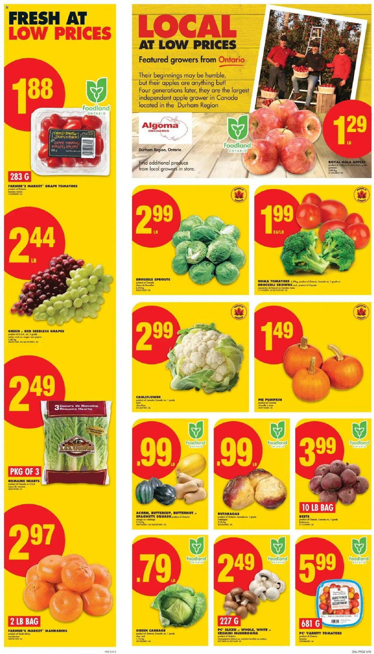 No Frills flyer valid from 25.09.2025 | Page: 2 | Products: PC, Bag, Pumpkin, Tomatoes