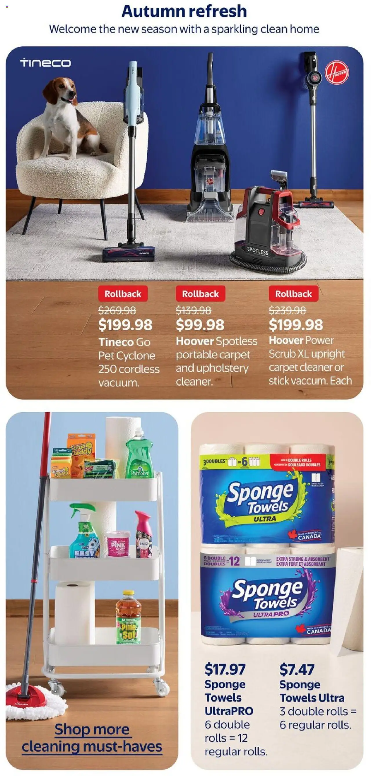 Walmart flyer valid from 25.09.2025 | Page: 14 | Products: Sponge, Carpet