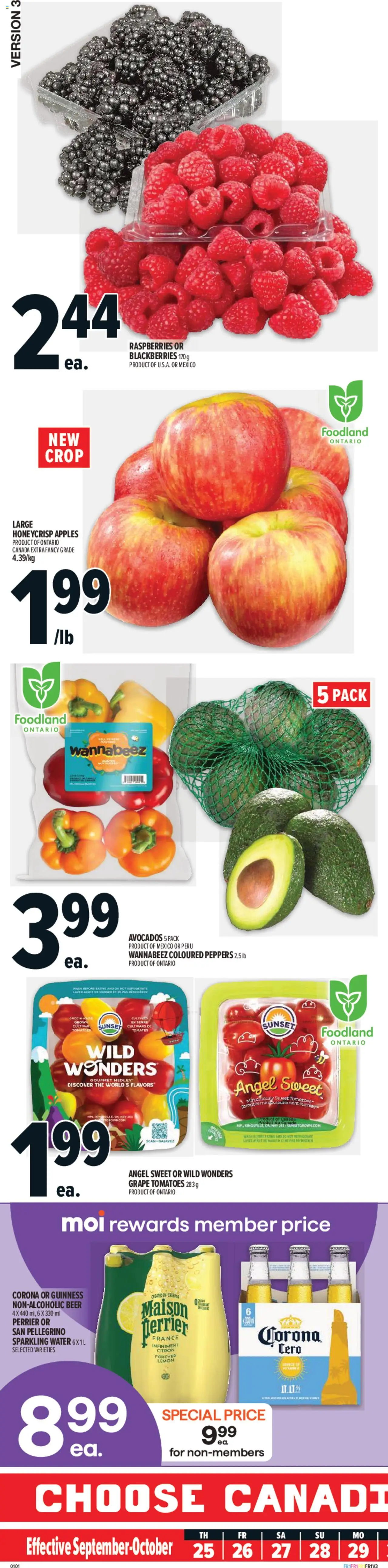 Metro flyer valid from 25.09.2025 | Page: 1 | Products: Beer, Apples, Tomatoes