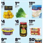 Loblaws – General Merchandise from Sep 25, 2025 > weekly specials & deals