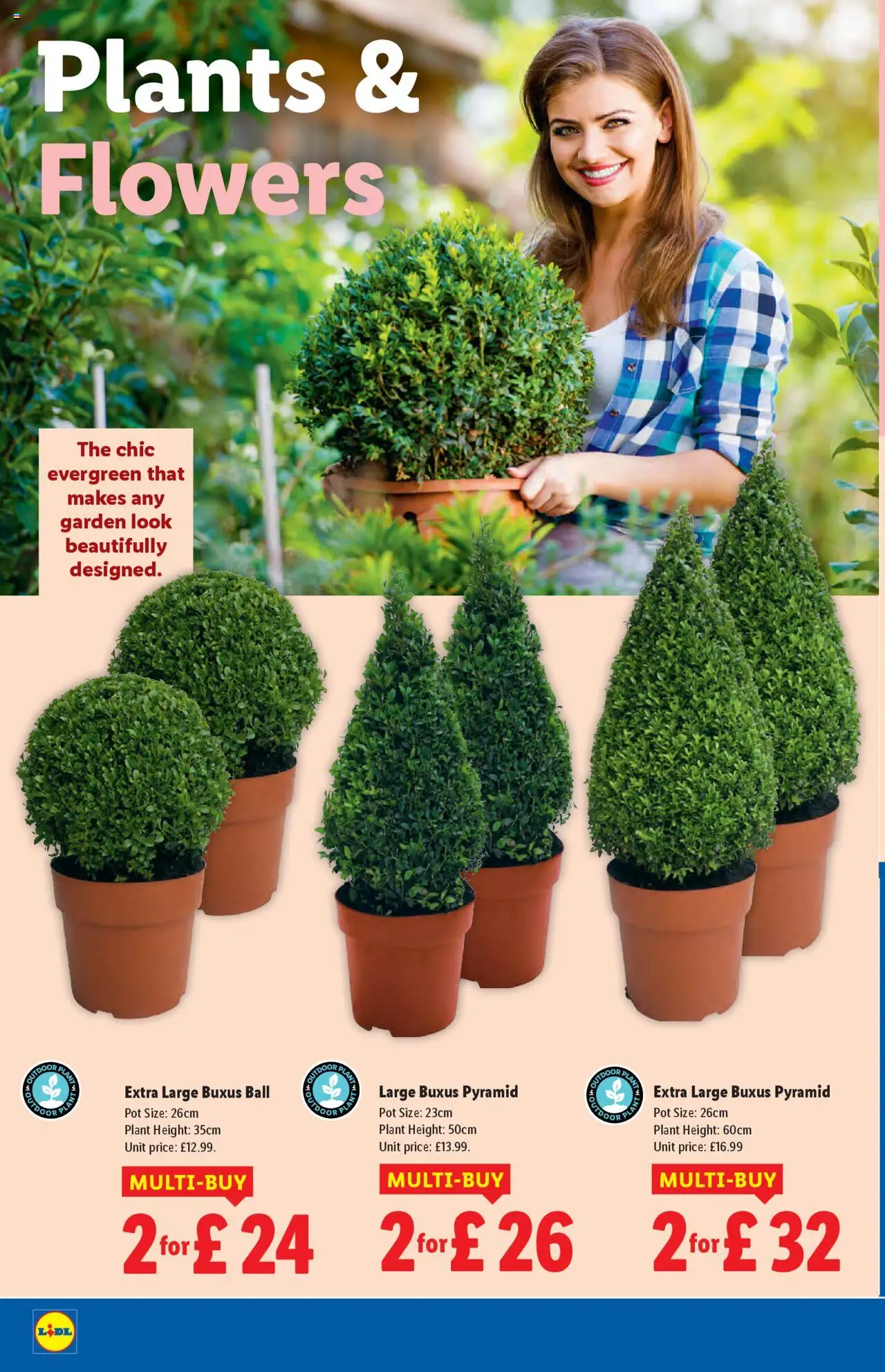 | Page: 22 | Products: Pot, Door