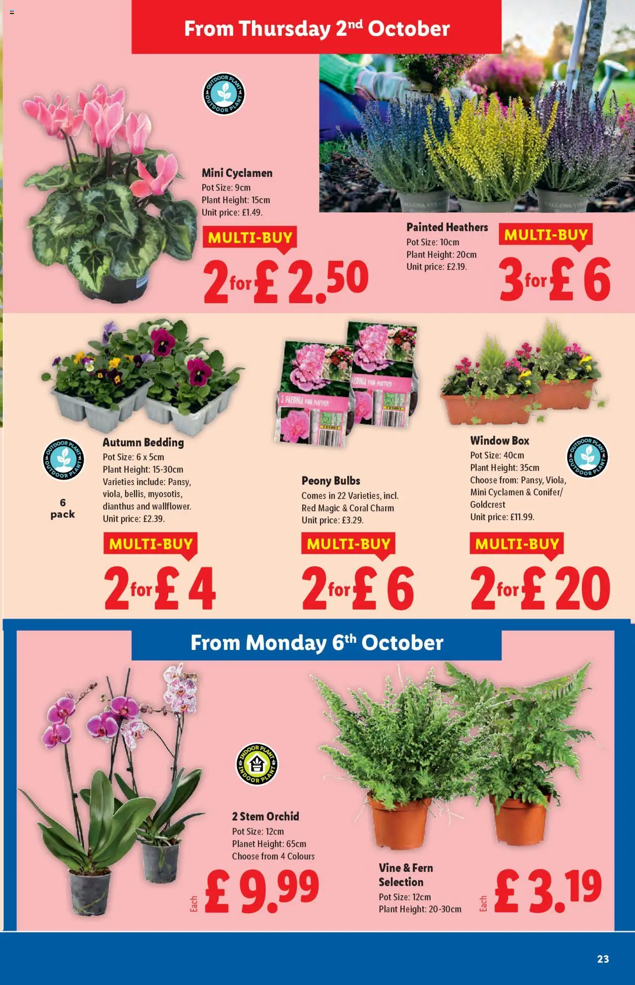  | Page: 23 | Products: Box, Pot