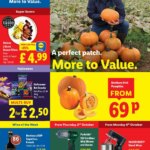 Lidl offers this week Thursday 02 October – A perfect match