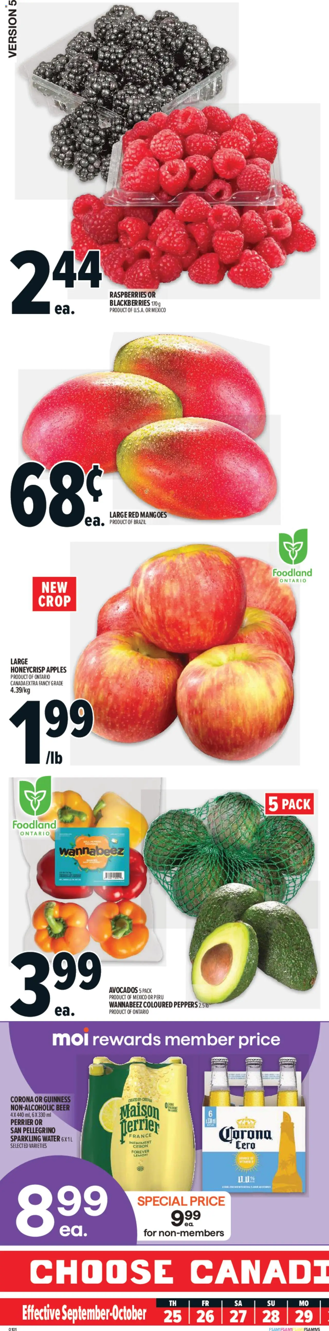 Metro flyer valid from 25.09.2025 | Page: 1 | Products: Beer, Apples