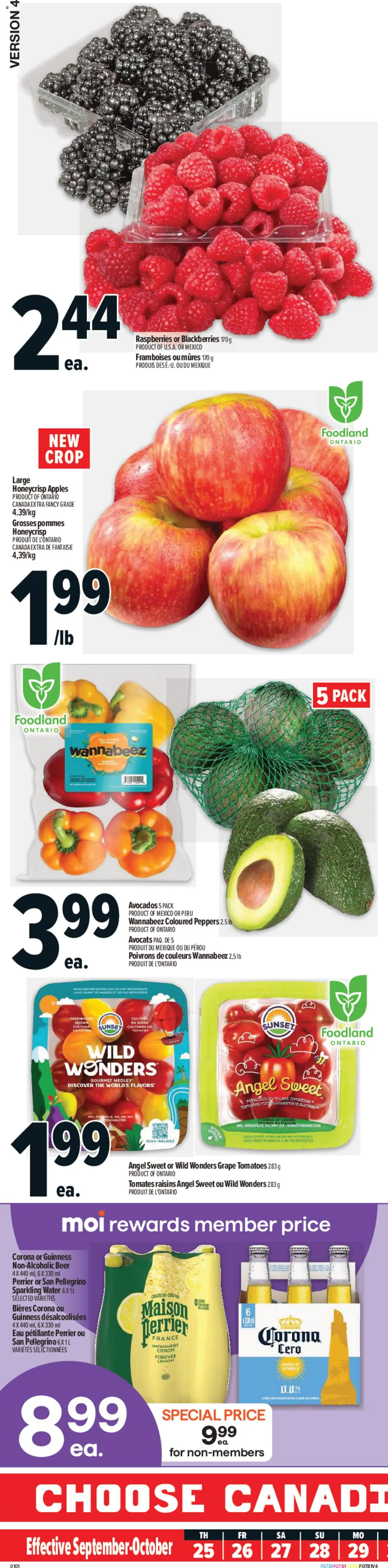 Metro flyer valid from 25.09.2025 | Page: 1 | Products: Beer, Apples, Tomatoes